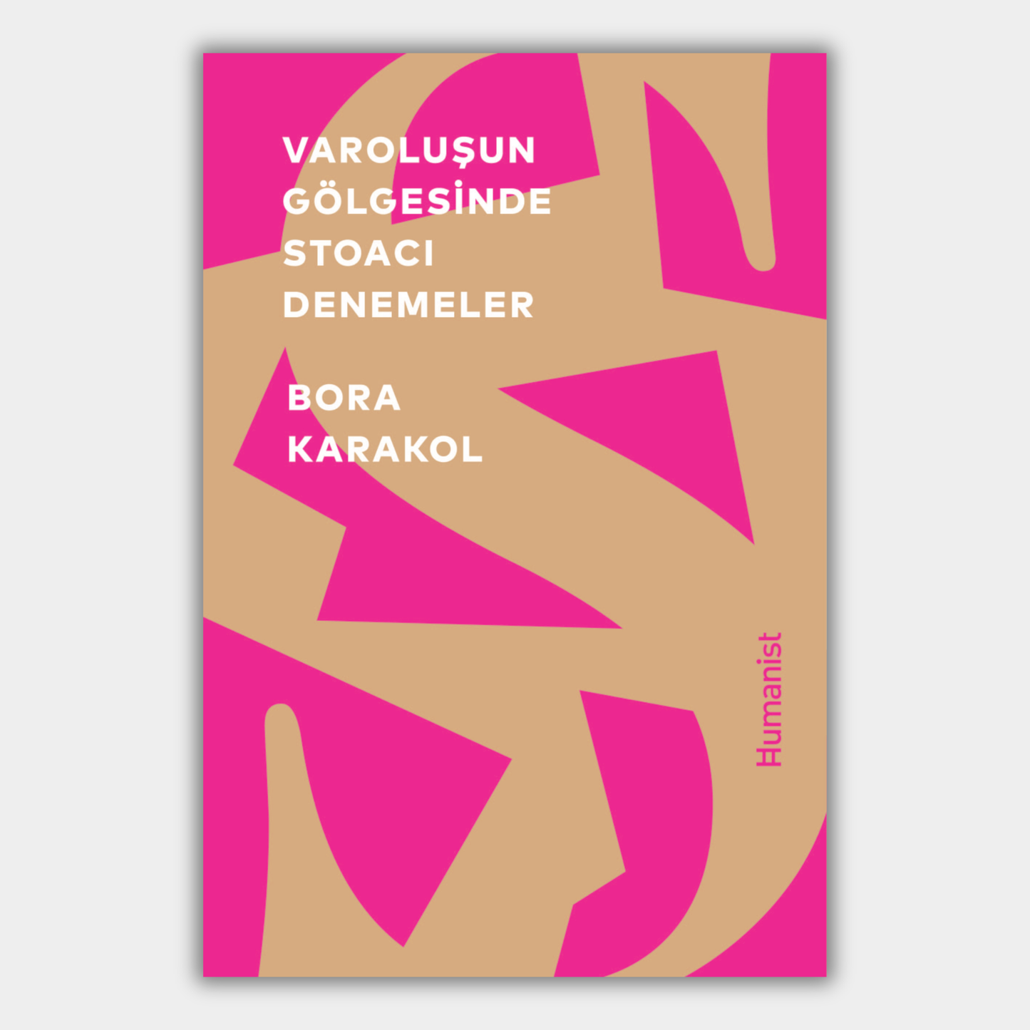 Stoic Essays in the Shadow of Existence